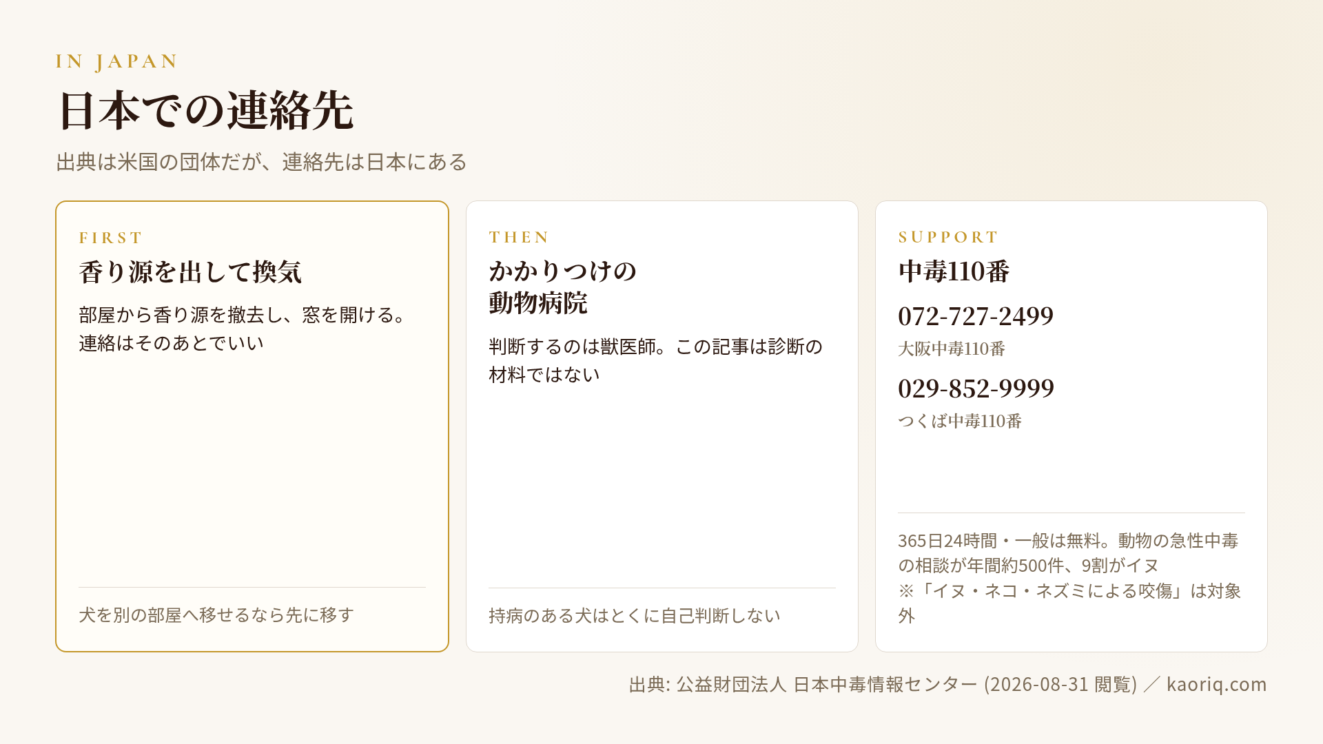 日本での連絡先と、連絡する前にやること
