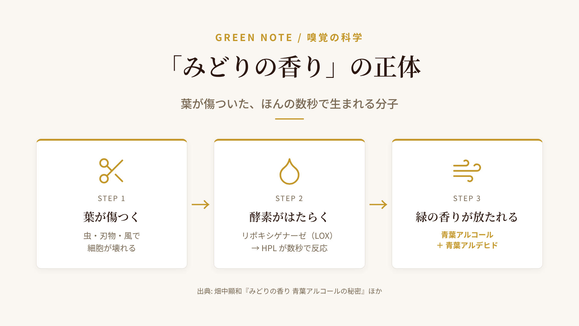 青葉アルコールが放出される仕組みの図解