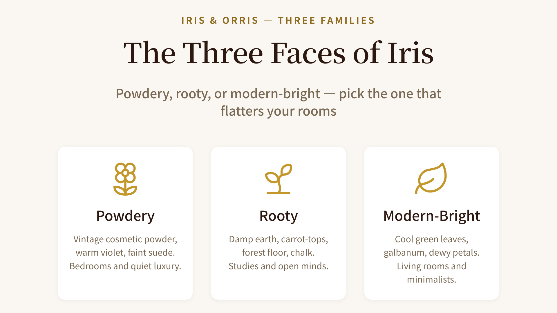The three faces of iris — powdery, rooty, and modern-bright