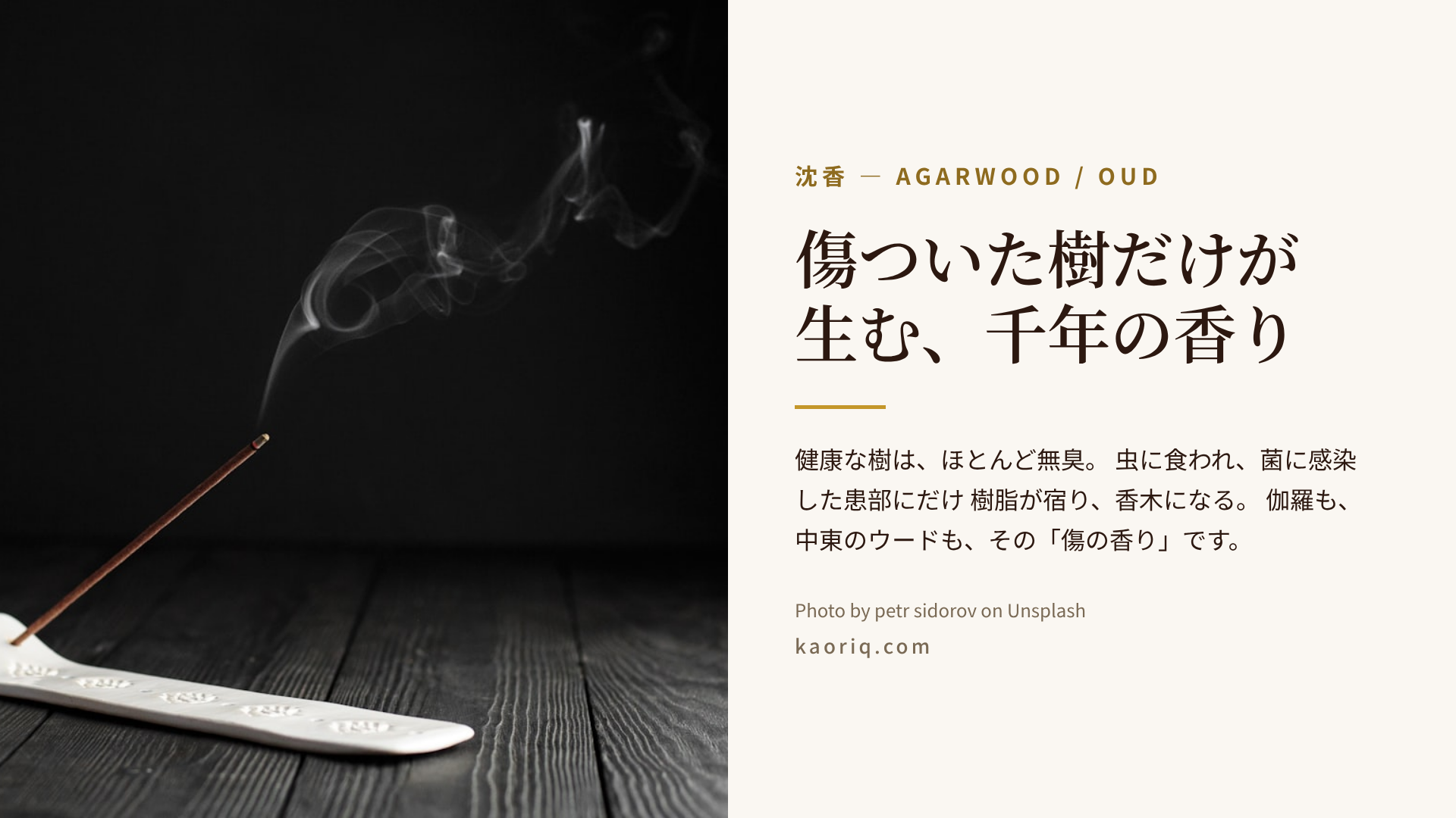 傷ついた樹脂が香木になるまで