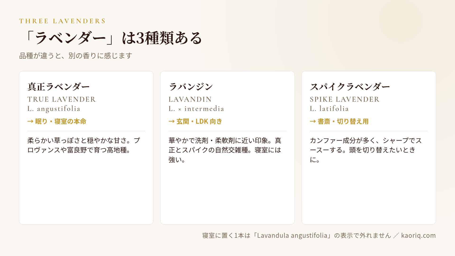 真正ラベンダー・ラバンジン・スパイクラベンダーの香りの違いと向く部屋