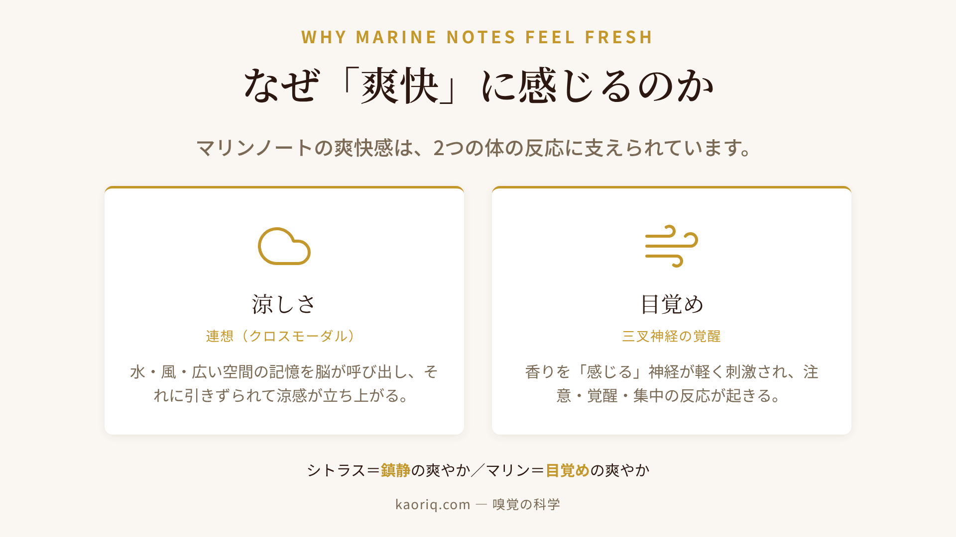 マリンノートが爽快に感じる2つの経路の図解