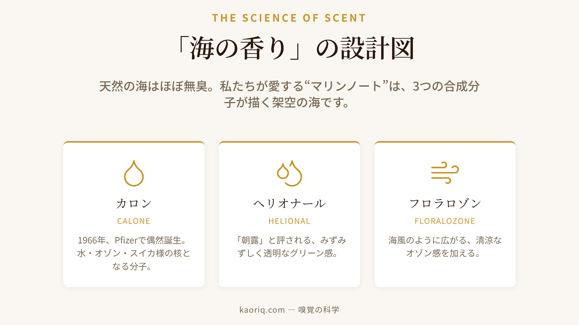 マリンノートを作る3つの合成分子の対比図