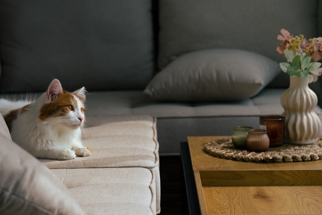 猫のいる部屋のルームフレグランス