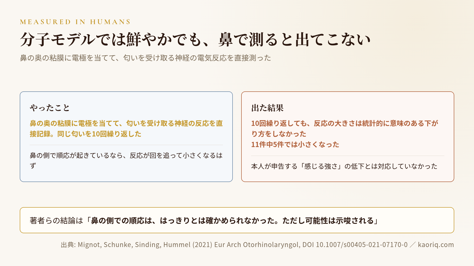 ヒトの嗅上皮を直接測った結果