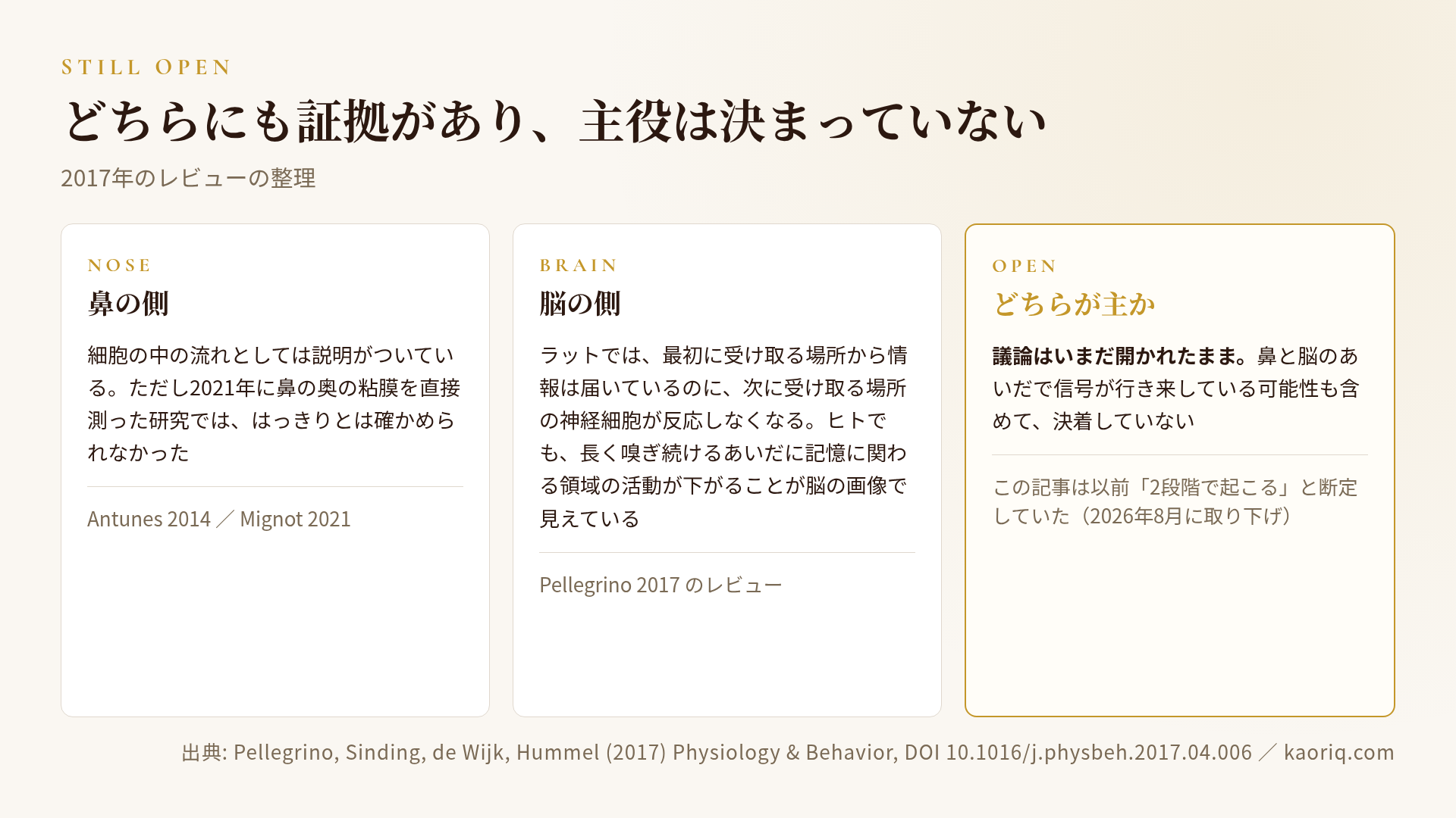 鼻の側と脳の側のどちらが主かは決着していない