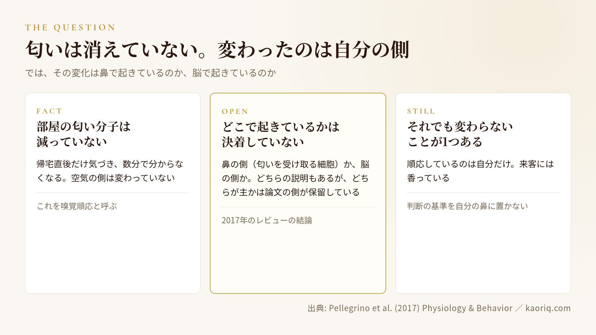 嗅覚順応がどこで起きているのかという問い