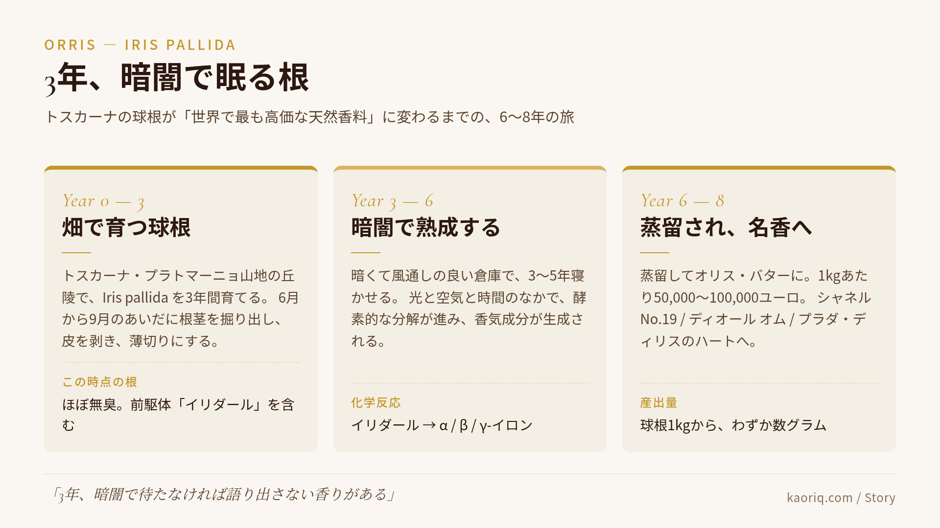 オリス・アイリスルートの世界