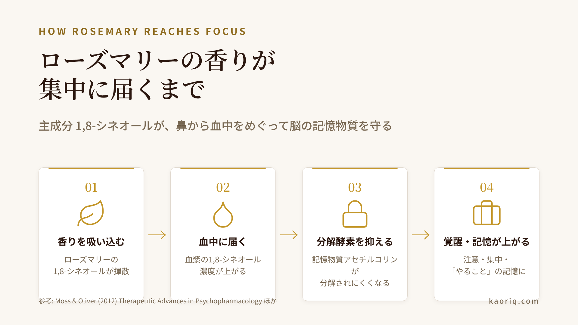 1,8-シネオールが鼻から血中、そして脳の集中に届くまでの経路