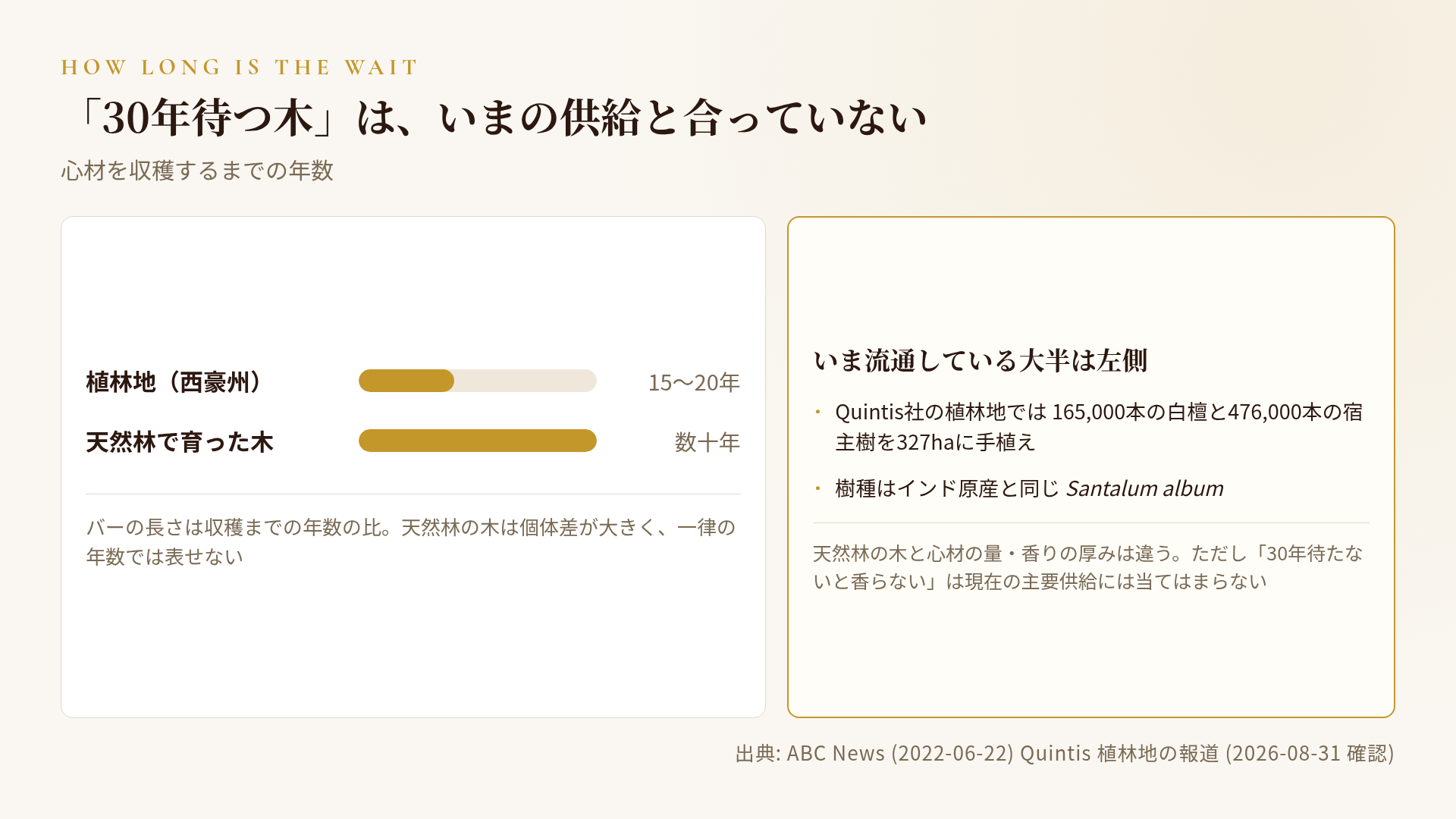 天然林とプランテーションの時間軸の違い