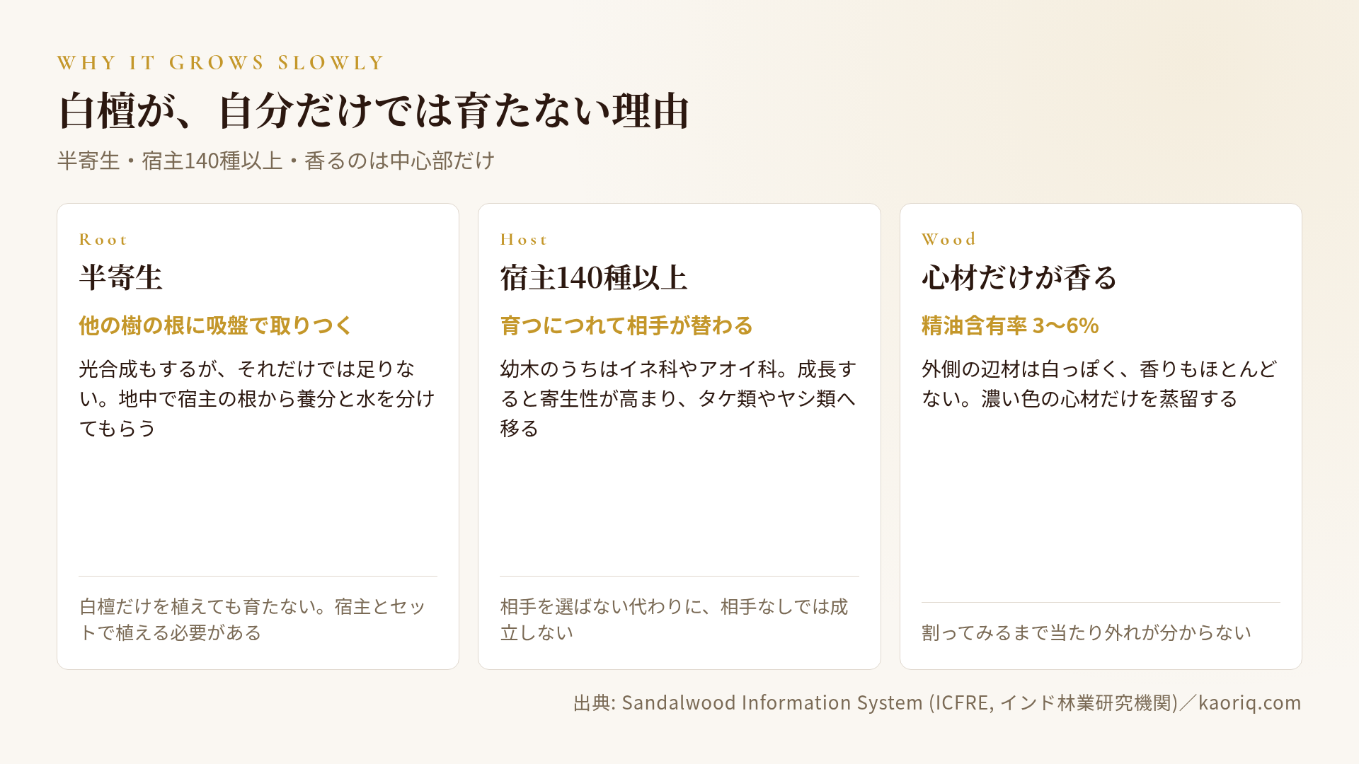 白檀の断面：辺材と心材、半寄生の根