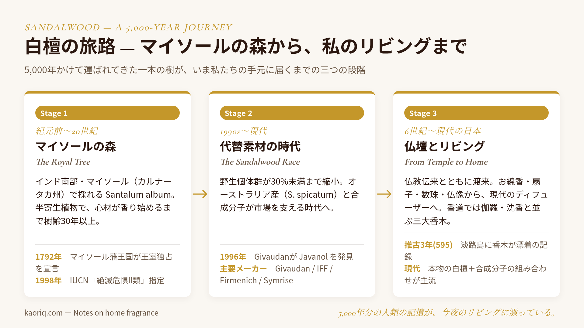 白檀の旅路：マイソールの森から日本のリビングまで